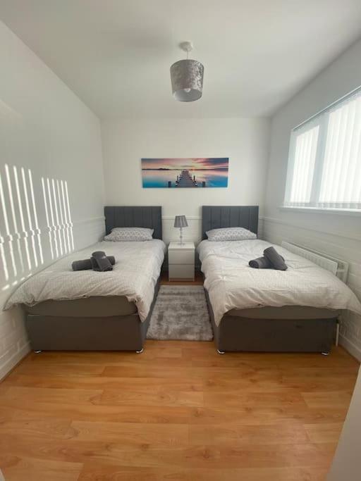 Modern Two Bed House Close To City Centre Белфаст Екстер'єр фото