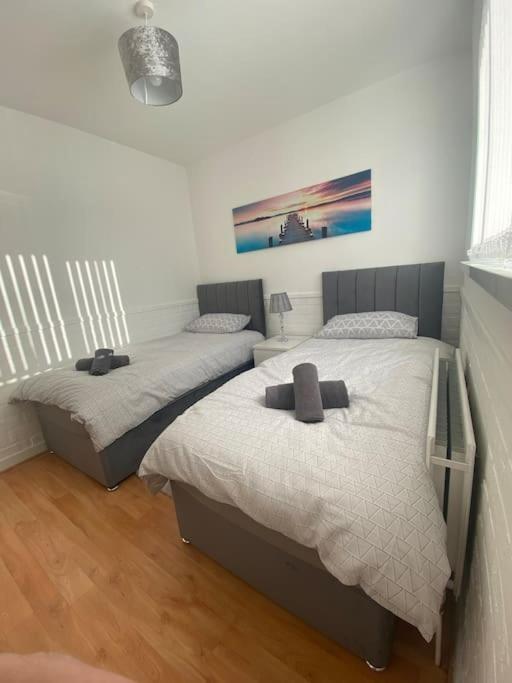 Modern Two Bed House Close To City Centre Белфаст Екстер'єр фото